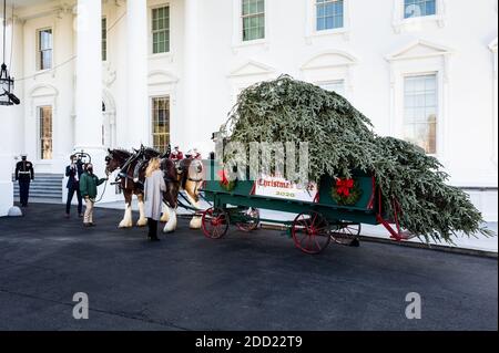 First Lady Melania Trump spricht mit einem Kutscher, nachdem er den Weihnachtsbaum des Weißen Hauses geliefert hat. Stockfoto