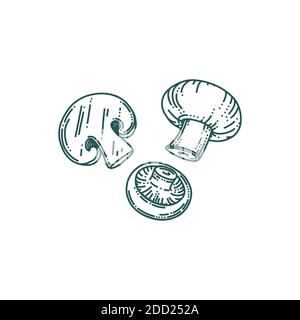 Champignon-Pilze im Doodle-Stil. Wald oder Bauernhof Pilze geschnitten und ganz. Doodle Vektorgrafik Stock Vektor