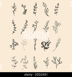 Doodle Kollektion von 20 handgezeichneten floralen Elementen. Große Sammlung von 20 handgezeichneten Zweigen. Großes Blumendesign botanischen Set. Isoliert. Stock Vektor