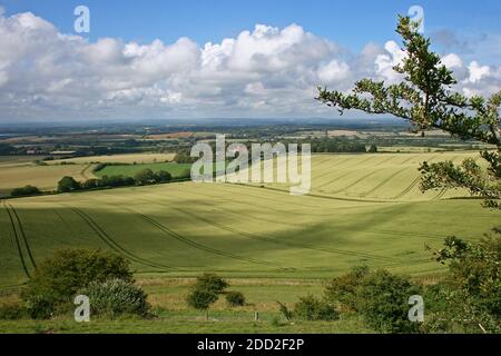 Ein Blick auf die hügeligen Felder von den Hügeln der South Downs in East Sussex, England an einem schönen Sommertag gesehen. Stockfoto