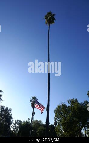 Glendale, Kalifornien, USA 18. November 2020 EINE allgemeine Ansicht der Atmosphäre des Grand View Memorial Park am 18. November 2020 bei 1341 Glenwood Road in Glendale, Kalifornien, USA. Foto von Barry King/Alamy Stockfoto Stockfoto