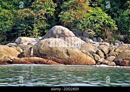 Der Ozean ist der Vordergrund, während zwei Menschen auf den großen Felsen auf einer Insel mit tropischem Wald im Hintergrund wandern. Stockfoto