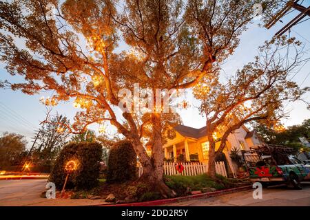 Los Angeles, 19. DEZEMBER 2014 - Nachtansicht des wunderschönen Kronleuchter-Baumes Stockfoto