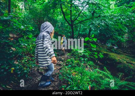 Ein Vorschulkinder geht mit seiner Mutter im Wald spazieren An einem regnerischen Tag Stockfoto