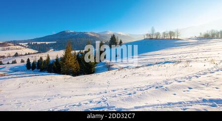 Bergige ländliche Landschaft im Winter. Wunderbar frostigen sonnigen Tag. Bäume auf den schneebedeckten Hügeln. Stockfoto