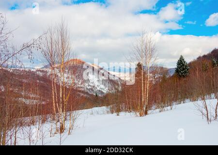 Uzhanian Naturpark in schneebedeckten Bergen. Schöne Naturlandschaft an einem sonnigen Tag. Mischwald auf den Hügeln. Wolken am Himmel Stockfoto