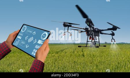 Farmer steuert Drohne mit einem Tablet. Intelligente Landwirtschaft und Präzisionslandwirtschaft Stockfoto