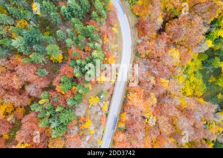 Herbst Herbst Wald Wälder bunte Blätter Saison Luftbild Ansicht Straße in Deutschland Stockfoto
