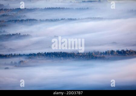 Geographie / Reisen, Deutschland, Bayern, Kochel am See, Blick auf den Jochberg auf Kochelseemoos, Additional-Rights-Clearance-Info-Not-available Stockfoto