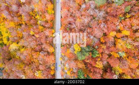 Herbst Herbst Wald Wälder bunte Blätter Saison Luftbild Ansicht Straße in Deutschland Stockfoto