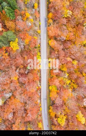 Herbst Herbst Wald Wälder bunte Blätter Saison Luftbild Ansicht Straßenportrait in Deutschland Stockfoto