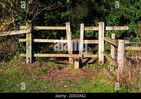 Ein V-förmiger Stil auf einem öffentlichen Fußweg durch das Marston Marsh Local Nature Reserve in Norwich, Norfolk, England, Großbritannien. Stockfoto