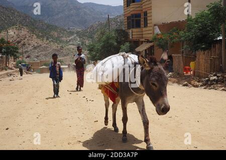 Tigray, Äthiopien - 14. August 2018. :Esel und Fußgänger in einer kleinen Stadt in Tigray Region von Äthiopien Stockfoto