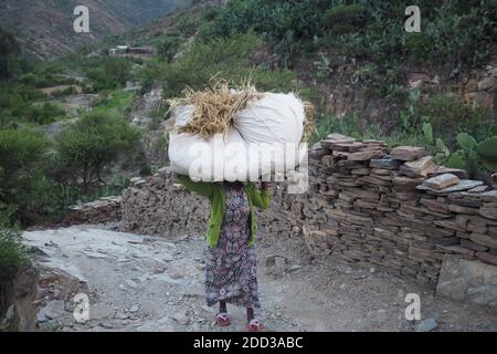 Tigray, Äthiopien - 15. august 2018 : Frau trägt ihre Ernte in einer kleinen Stadt in Tigray Region in Äthiopien Stockfoto