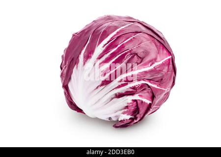 Frischer roter Radicchio Salat isoliert auf weißem Hintergrund mit Clipping Pfad und volle Schärfentiefe Stockfoto