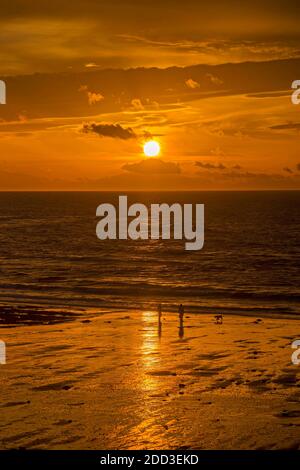 Swansea, Großbritannien. November 2020. Frühaufsteher nutzen den spektakulären Morgenhimmel an der Langland Bay in der Nähe von Swansea heute Morgen. Quelle: Phil Rees/Alamy Live News Stockfoto