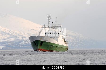 Tiefseefischen im Norwegischen Meer an Bord des Trawlers „Grande Hermine“ im Jahr 2011. La Grande Hermine, Fabriktrawler der Compagnie des Pech Stockfoto