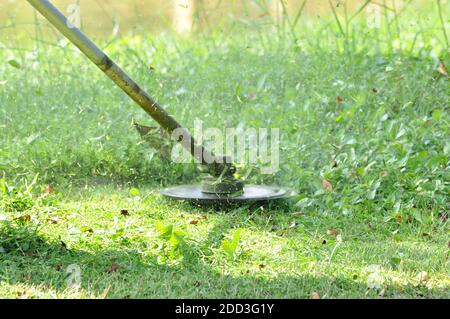 Grasschneidmesser schneiden Unkraut Stockfoto