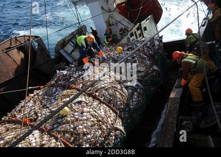 Tiefseefischen im Norwegischen Meer an Bord des Trawlers „Grande Hermine“ im Jahr 2011. La Grande Hermine, Fabriktrawler der Compagnie des Pech Stockfoto