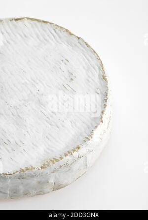 Französische Käse namens Coulommiers, Käse mit Kuhmilch gemacht Stockfoto