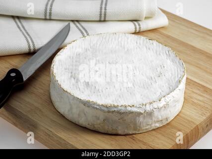 Französische Käse namens Coulommiers, Käse mit Kuhmilch gemacht Stockfoto