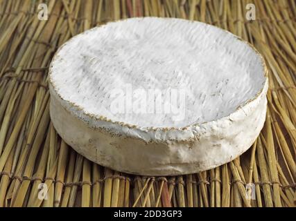 Französische Käse namens Coulommiers, Käse mit Kuhmilch gemacht Stockfoto