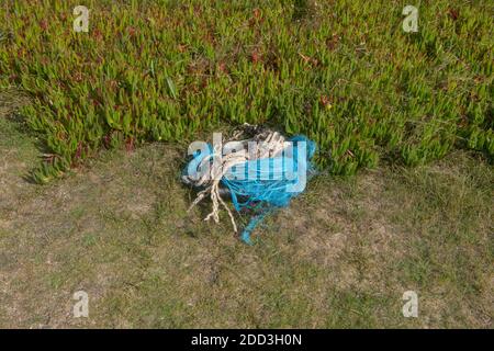 Haufen Meeresverschmutzung durch Seil, blaues Nylon-Fischernetz und eine Glasweinflasche, die an einem Strand auf der Insel Bryher in den Inseln von Scilly gesammelt wurde Stockfoto