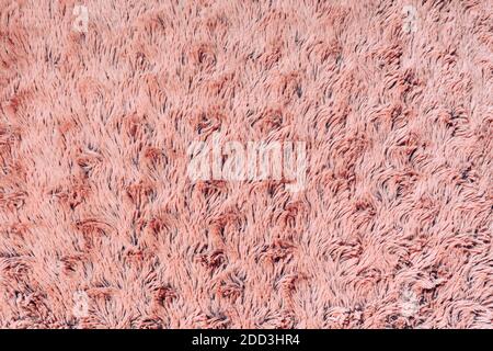 Nahaufnahme Plüsch Textil rosa abstrakten Hintergrund. Stoffstruktur. Stockfoto