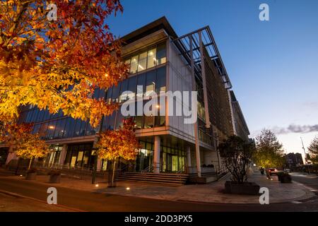 Herbstbäume vor dem Loxley House in der Station Street im Stadtzentrum von Nottingham, Nottinghamshire England Stockfoto