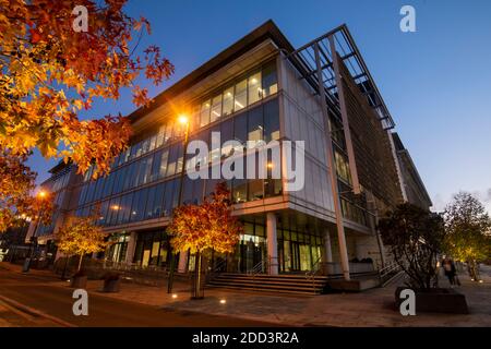 Herbstbäume vor dem Loxley House in der Station Street im Stadtzentrum von Nottingham, Nottinghamshire England Stockfoto