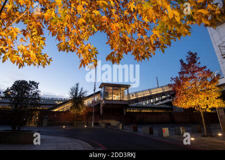 Herbstbäume vor dem Loxley House in der Station Street im Stadtzentrum von Nottingham, Nottinghamshire England Stockfoto