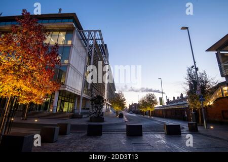 Herbstbäume vor dem Loxley House in der Station Street im Stadtzentrum von Nottingham, Nottinghamshire England Stockfoto