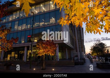 Herbstbäume vor dem Loxley House in der Station Street im Stadtzentrum von Nottingham, Nottinghamshire England Stockfoto