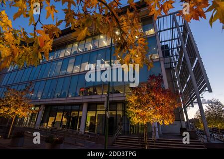 Herbstbäume vor dem Loxley House in der Station Street im Stadtzentrum von Nottingham, Nottinghamshire England Stockfoto