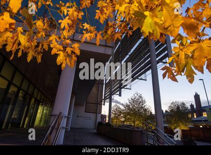 Herbstbäume vor dem Loxley House in der Station Street im Stadtzentrum von Nottingham, Nottinghamshire England Stockfoto