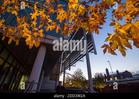 Herbstbäume vor dem Loxley House in der Station Street im Stadtzentrum von Nottingham, Nottinghamshire England Stockfoto