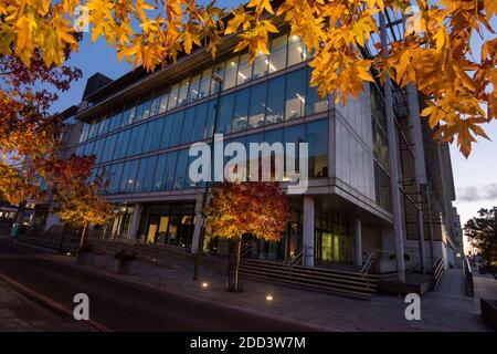 Herbstbäume vor dem Loxley House in der Station Street im Stadtzentrum von Nottingham, Nottinghamshire England Stockfoto