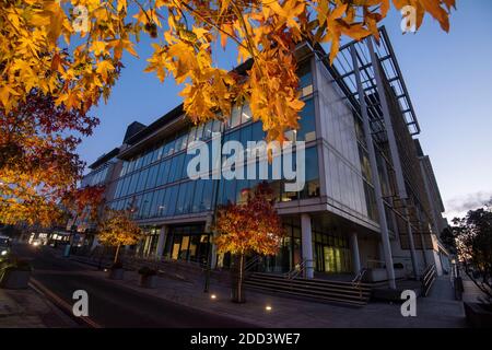 Herbstbäume vor dem Loxley House in der Station Street im Stadtzentrum von Nottingham, Nottinghamshire England Stockfoto