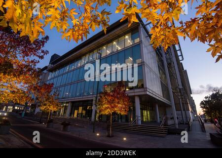 Herbstbäume vor dem Loxley House in der Station Street im Stadtzentrum von Nottingham, Nottinghamshire England Stockfoto