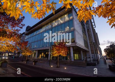 Herbstbäume vor dem Loxley House in der Station Street im Stadtzentrum von Nottingham, Nottinghamshire England Stockfoto