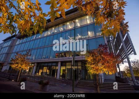 Herbstbäume vor dem Loxley House in der Station Street im Stadtzentrum von Nottingham, Nottinghamshire England Stockfoto