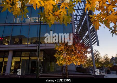 Herbstbäume vor dem Loxley House in der Station Street im Stadtzentrum von Nottingham, Nottinghamshire England Stockfoto