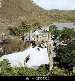 Landschaft im Torres del Paine Nationalpark im Süden von Chile, 1960er Jahre. Malerische Landschaft bei den Torres del Paine National Park im Süden von Chile, 1960er Jahre. Stockfoto