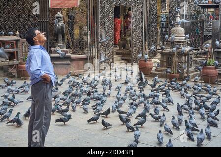 Ein Mann am Seto Machhendranath Tempel in Kathmandu, Nepal, schaut besorgt nach oben, vielleicht auf die Aussicht, von einer der Tauben "bombardiert" zu werden Stockfoto