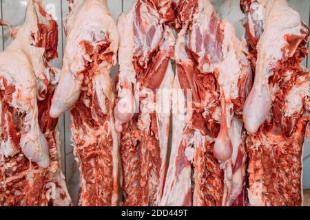 Aufhängen von Schafsfleisch in der Metzgerei. In einem Schlachthaus schneiden und hängen die Rasseln an Haken. Halal-Schneiden. Stockfoto