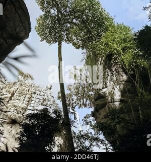 Imposante Truppenübungsplätze in Vila Velha, Brasilien 1966. Beeindruckende Naturlandschaften in Vila Velha, Brasilien 1966. Stockfoto