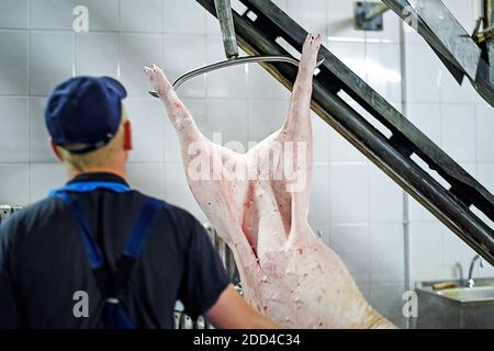 Schweinefleischkadaver werden in der Fabrik verarbeitet. Fleischproduktion. Ein Ort, an dem Schweine getötet werden Stockfoto