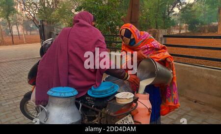 November 2020- Mahroli, Jaipur, Indien / Milchmensch sammelt Milch auf einem Motorrad. Stockfoto