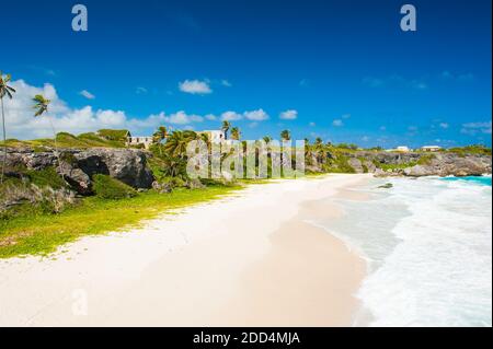 Harrismith Beach ist einer der schönsten Strände auf der karibischen Insel Barbados. Es ist ein tropisches Paradies mit Palmen, die über Türkis hängen Stockfoto