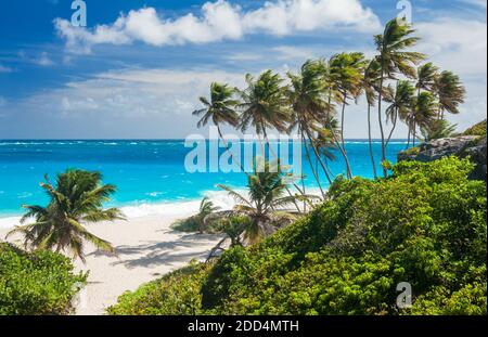 Bottom Bay ist eines der schönsten Strände auf der Karibikinsel Barbados. Es ist ein tropisches Paradies mit Palmen hängen über türkisblauem Meer Stockfoto